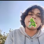 Aarón Pedroza - @pedroza.aaron - Instagram
