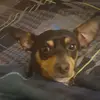 bendylvink34 - @aaronisacrepeer - TikTok