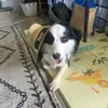 Aaron Peirce - @ayayron2345 - TikTok