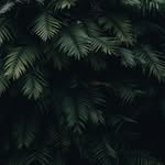 Aaron Pelc - @not.az.at.all - Instagram