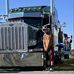 Aaron Pell - Facebook