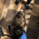 Aaron Pemberton - @choco.lit - Instagram