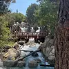 Aaron Pena - @aaron.pena0 - TikTok