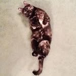 Thomas Aaron - @thomas.aaron.pender - Instagram