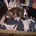 Aaron Pendergraft - Facebook