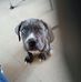 Aaron Pennell - Facebook