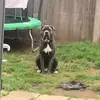 Aaron Pennell - @aaron.pennell6 - TikTok