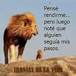 Aaron Penner - @aaron_penner_ - Instagram