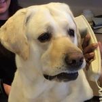 Aaron Penner - @aaron_penner - Instagram
