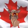 Aaron Pepper - @a.aron_pep - TikTok