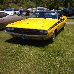 hot _peppers _12 - @aaron___pepper - Instagram