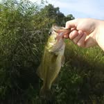 Aaron Perdue - @perdukki - Instagram