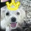 Aaron Perez-Negron - @aaron.pereznegron - TikTok