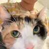 Aaron - @aaron.sperl - TikTok