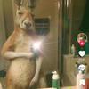 Aaron Perozo - @aaron.perozo - TikTok