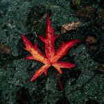 Aaron persaud - @persaud7426 - Instagram
