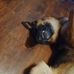Aaron Persinger - Facebook