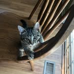 Aaron Pestyk - @aaron2024_ - Instagram