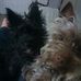 Aaron Petersheim - Facebook