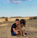 Áron Petri - Facebook