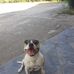 Aron Petrovic - Facebook