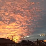 Aaron.Petrus - @aaronpetrus45 - Instagram
