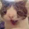 Aaron Pettigrew - @b00bs_69 - TikTok