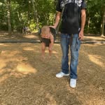Aaron Pitts - @pittsaaron - Instagram