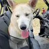 Aaron Plankey - @aaron.plankey - TikTok