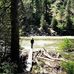 Aaron Pleskac - Facebook