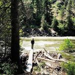 Aaron Pleskac - @aaronpleskac - Instagram