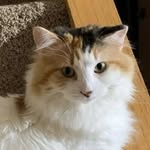 Aaron Ploeger - @the_real_aaron_ploeger - Instagram