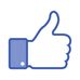 Aaron Plotkin - Facebook