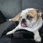 Aaron Plourde - @big_potato456 - Instagram