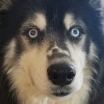 Aaron Poff - @aaron.poff - Instagram