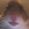 Aaron Poffenberge793 - @aaronpoffenberge0 - TikTok