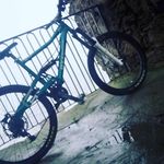 Aaron pohl - @aaron_aaaaarronn - Instagram