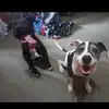 aaronpohl5 - @aaronpohl5 - TikTok