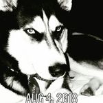 Aaron Poisson - @aa.ron1058 - Instagram