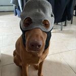 AP - @aaron.poisson - Instagram