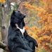 Aaron Pollack - Facebook