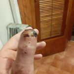 Aaron Pollock - @aaron.pollock.3386 - Instagram