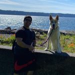 Aaron Pomerantz - @aaron_pomerantz - Instagram
