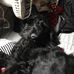 Aaron Pontious - Facebook