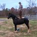 Aaron Ponzio - Facebook
