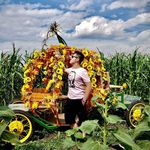 Aaron Poon - @tiggercubs - Instagram