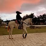Aaron Lozano Poot - @iaaronl - Instagram