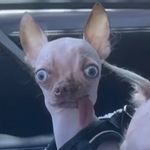 Aaron Nicholas Gossett-Posey - @aarongossett - Instagram