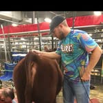 Aaron Post - @cattleman_53 - Instagram