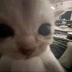 Aaron Pou - @aaron.mang0 - Instagram